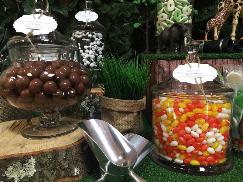 1st Birthday Candy Bar - The Candy Buffet Company